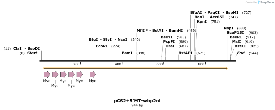 338580_map