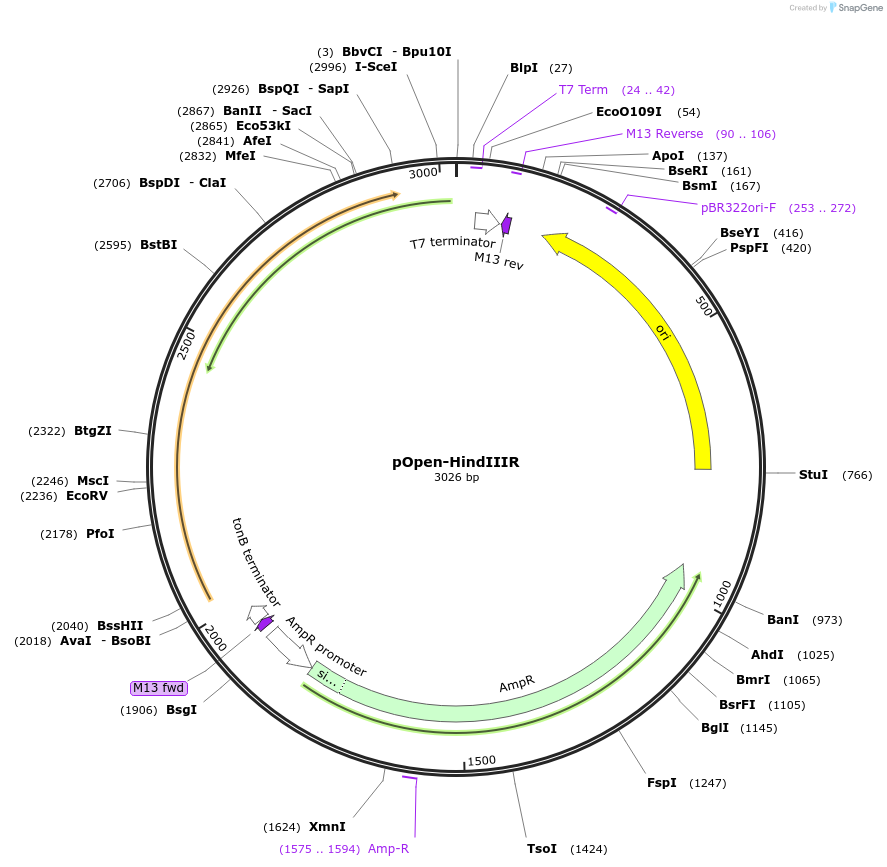 338587_map