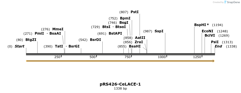 338597_map