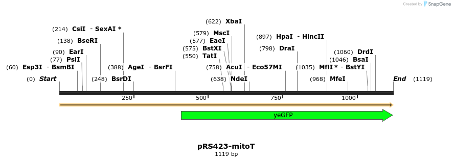 338599_map