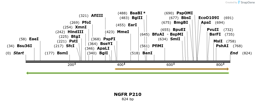 33864_map