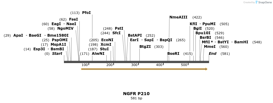 33865_map