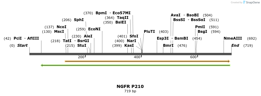 33866_map