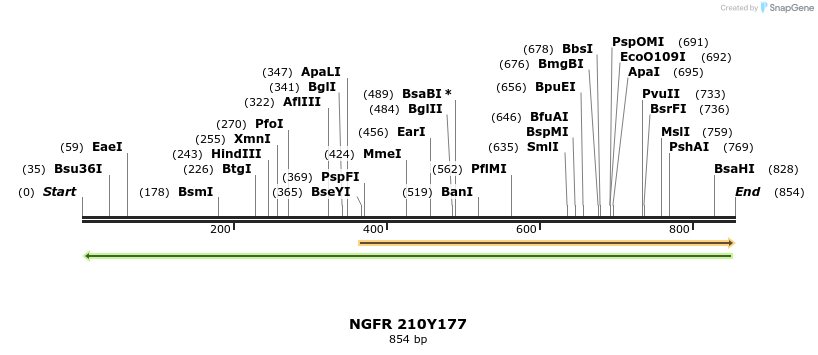 33867_map