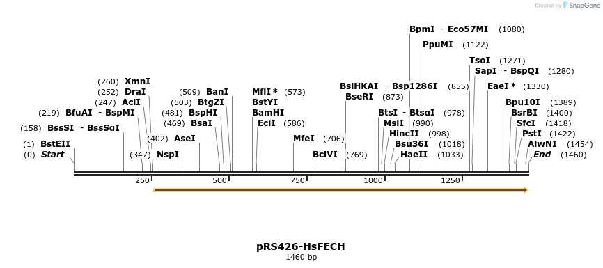 338678_map