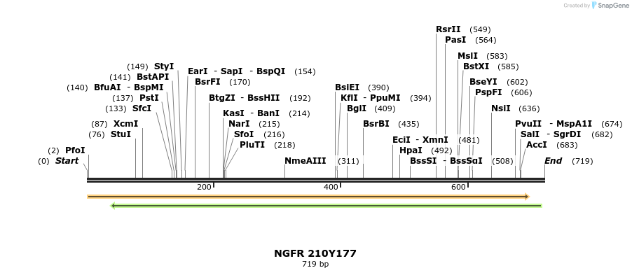 33868_map