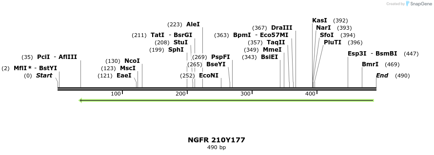 33869_map
