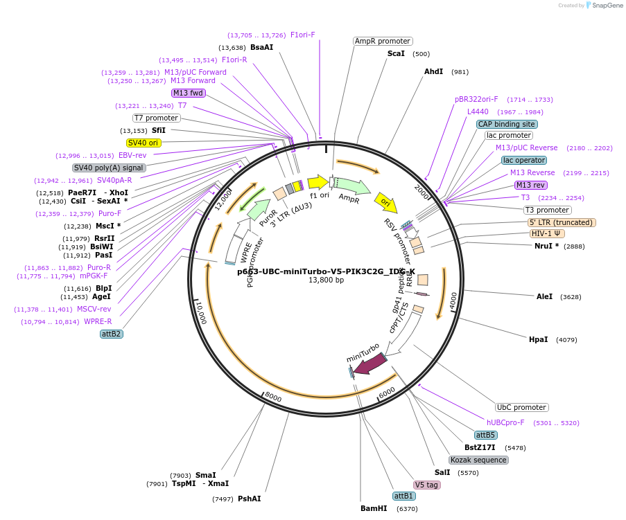 338761_map