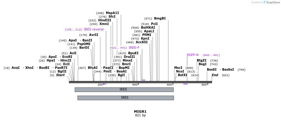 33882_map