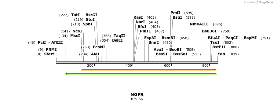 33883_map