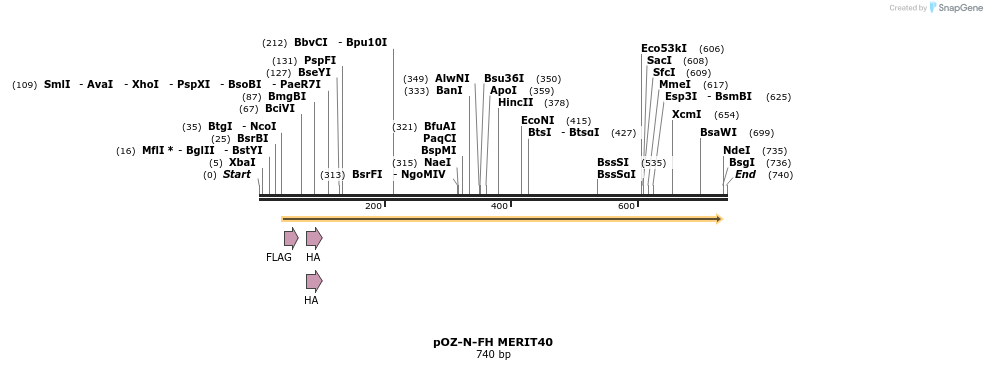33887_map