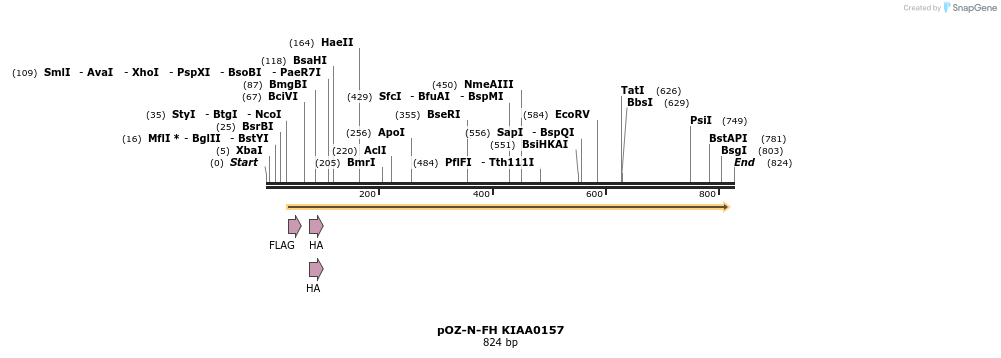 33888_map