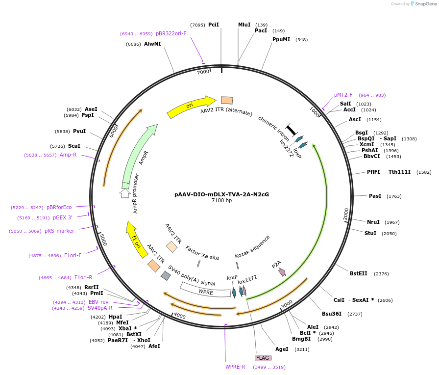 338888_map