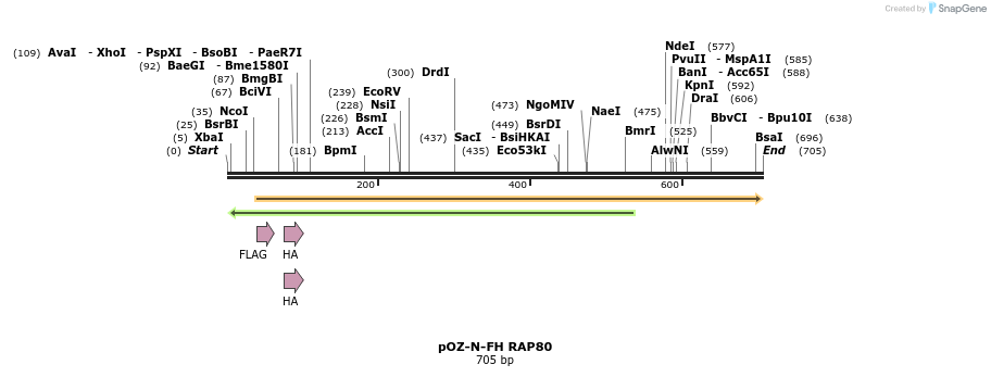 33890_map