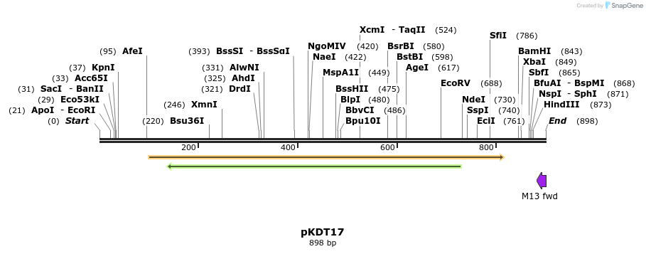 33892_map
