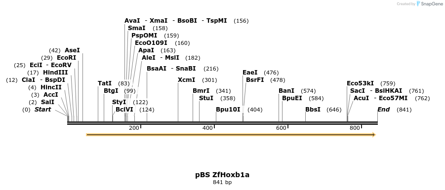 33894_map