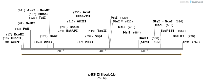 33895_map