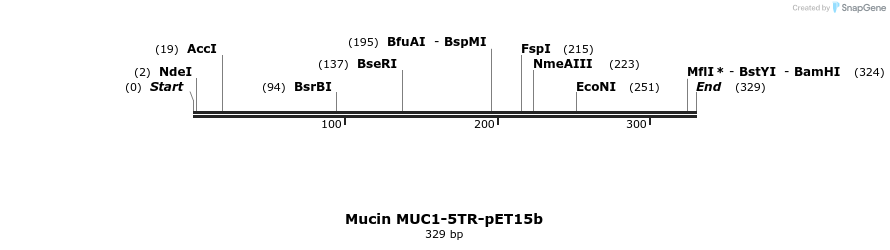 338978_map