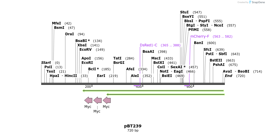 33905_map