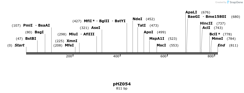 33907_map