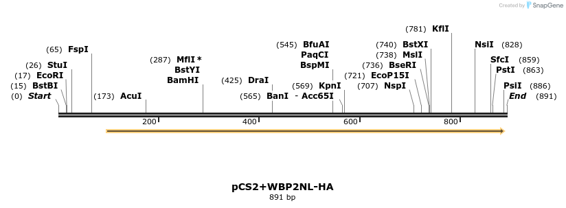 339072_map