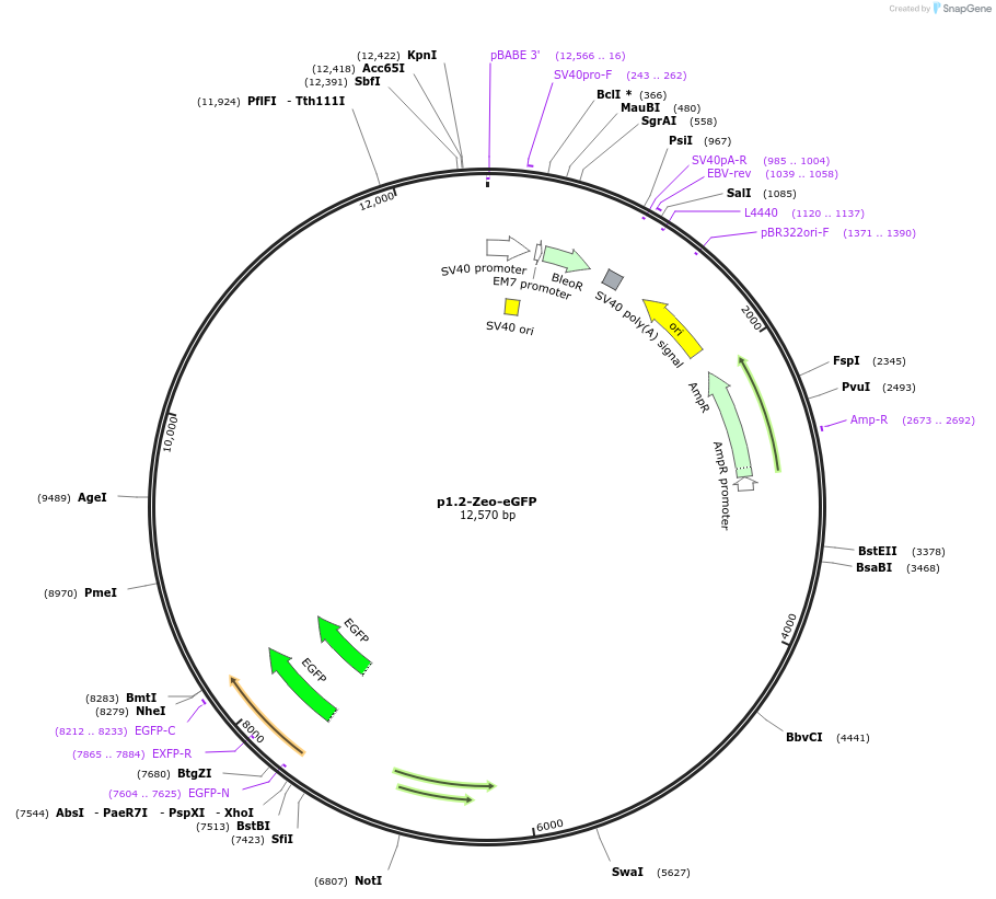 339096_map
