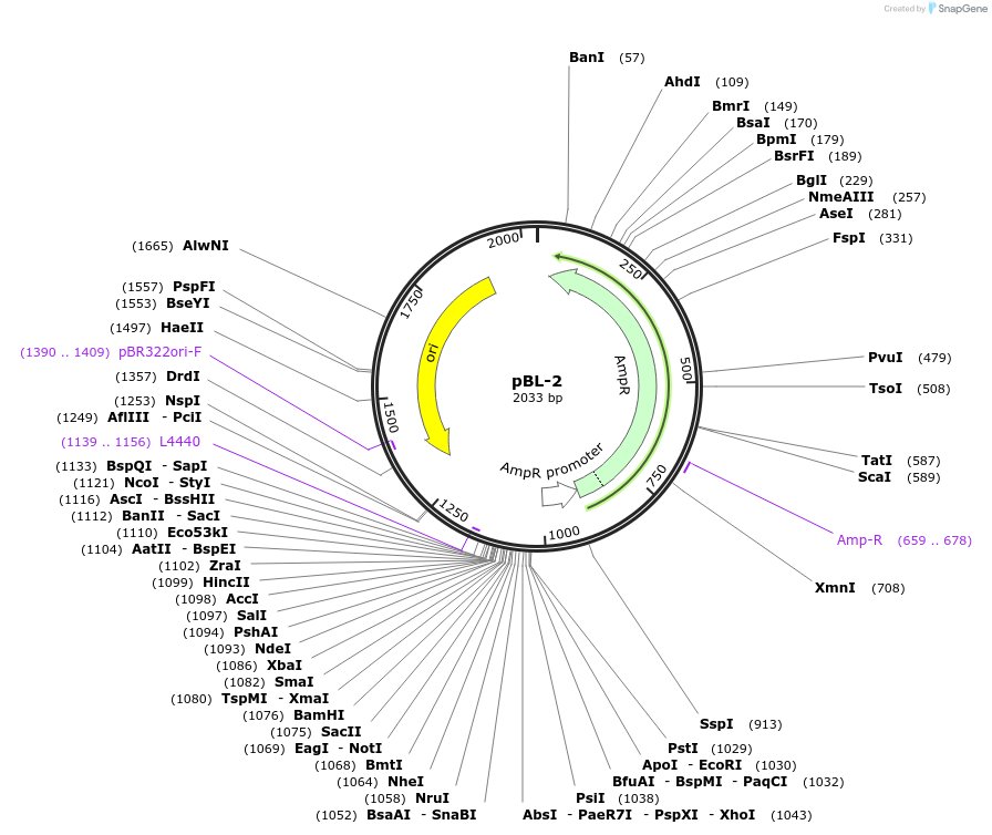 339100_map
