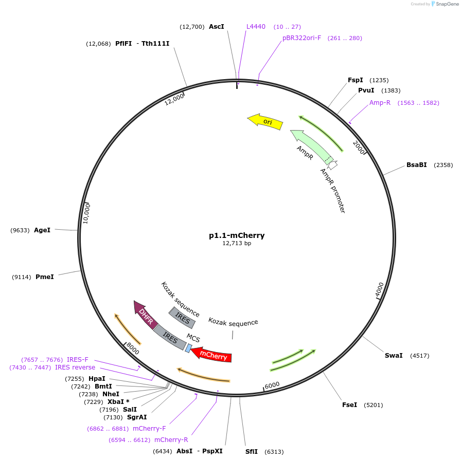 339102_map