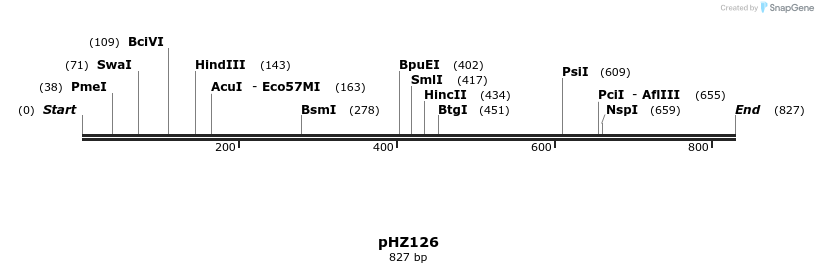 33913_map