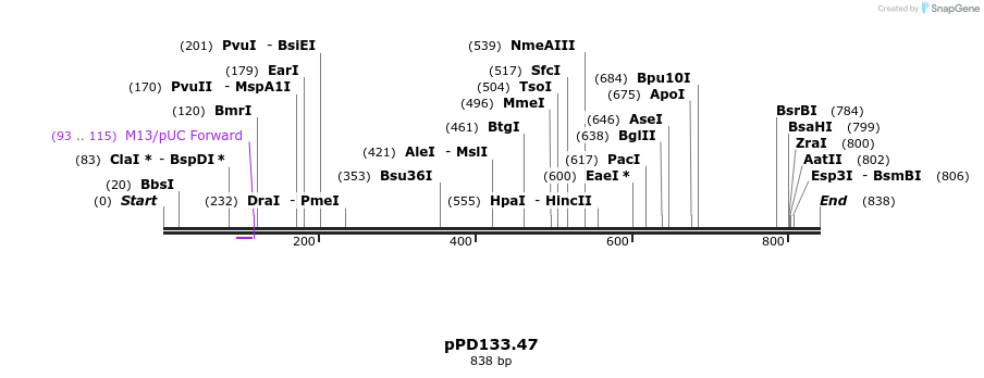 33917_map