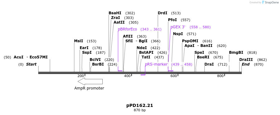 33918_map