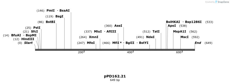 33919_map