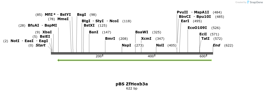 33921_map