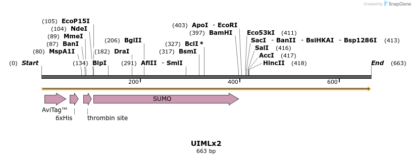 339248_map