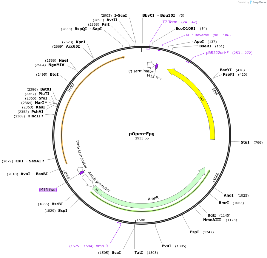 339267_map