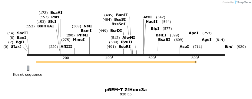 33927_map