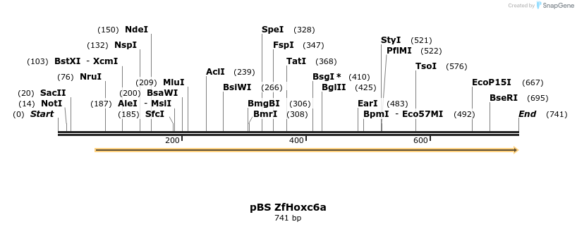 33929_map