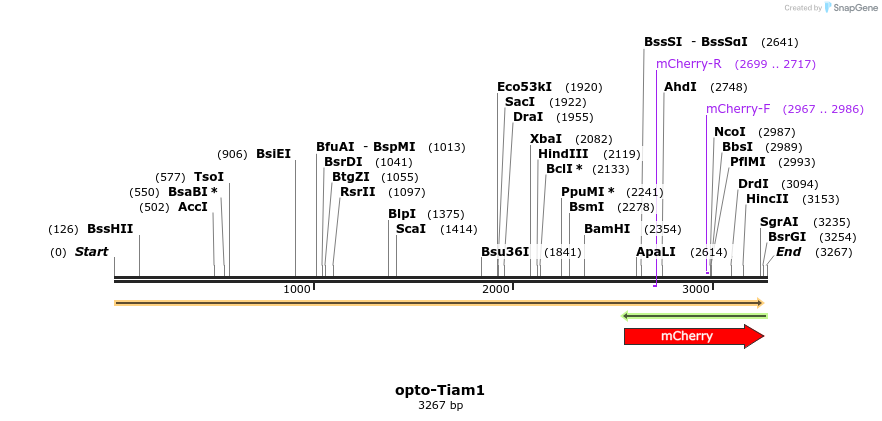 339296_map