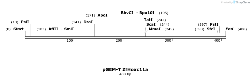 33930_map