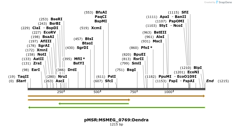 339305_map