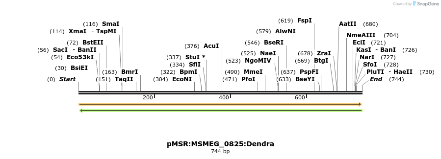 339306_map