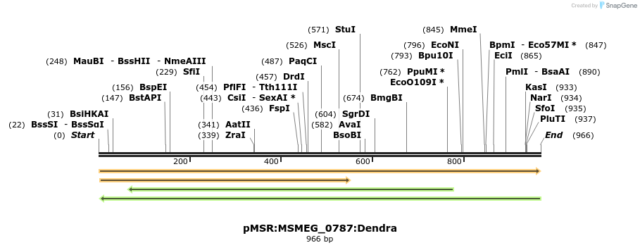 339309_map