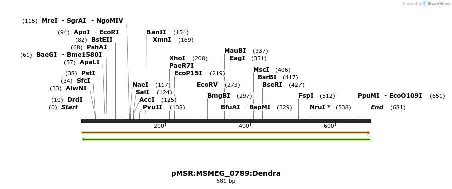 339310_map