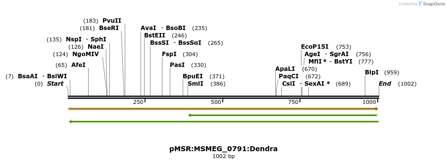 339311_map
