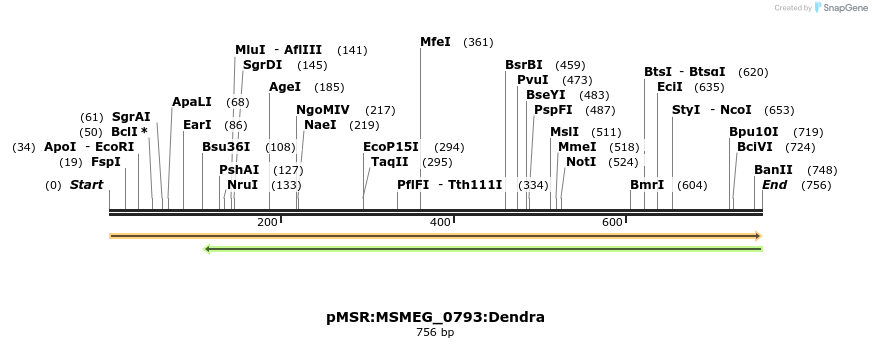 339312_map