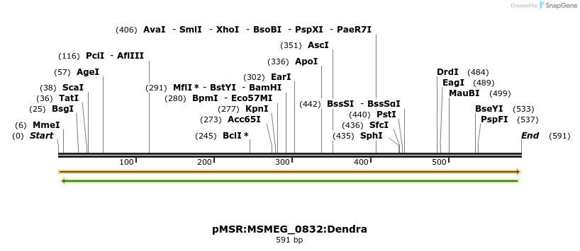 339315_map