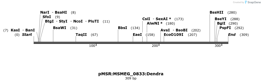 339316_map