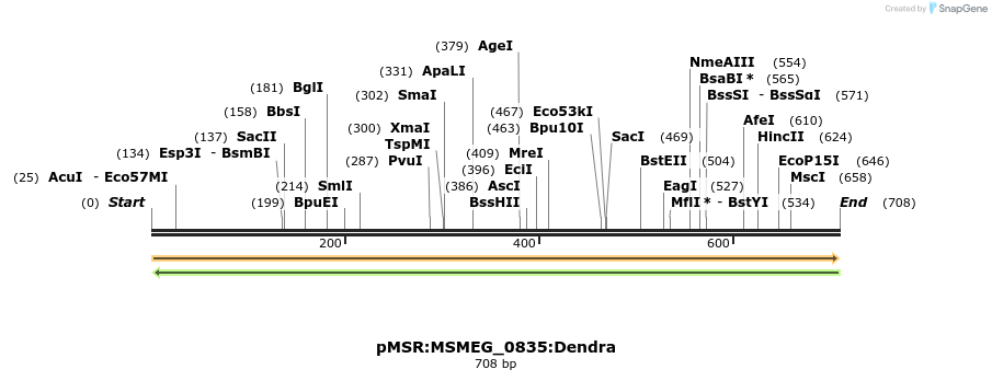 339317_map