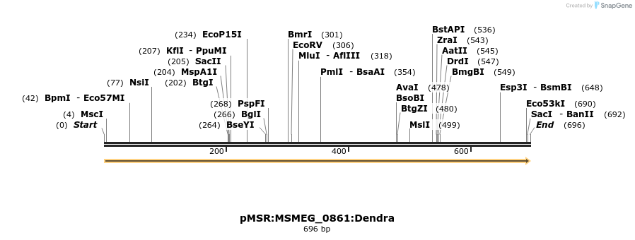 339318_map