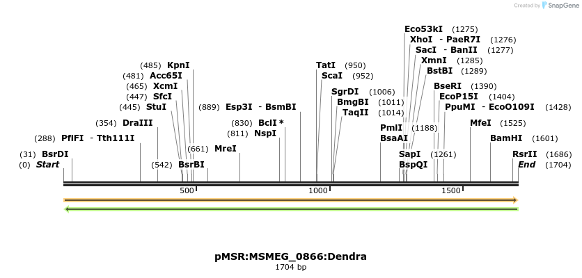 339320_map